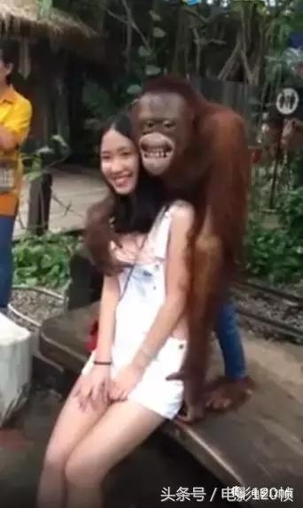 西游伏妖篇孙悟空打三个如来,西游伏妖篇孙悟空变身巨猿