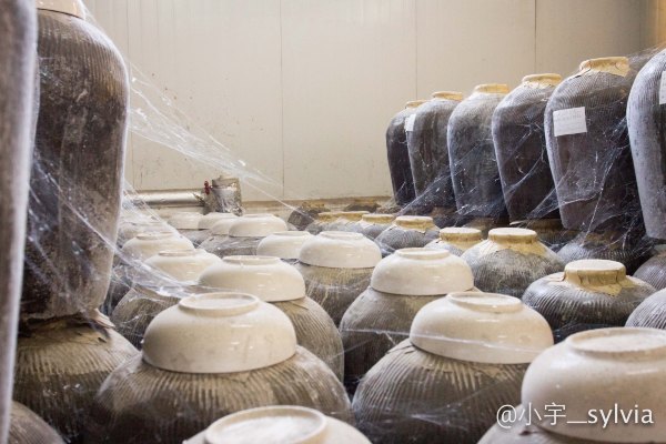 怀来周边游一日游的好去处,怀来温泉一日游推荐
