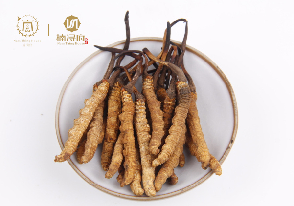 古籍记载的奇异东西,中国那些神奇的古籍