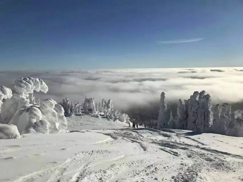 滑雪里的滑双板,双板滑雪与单板滑雪哪个简单好学