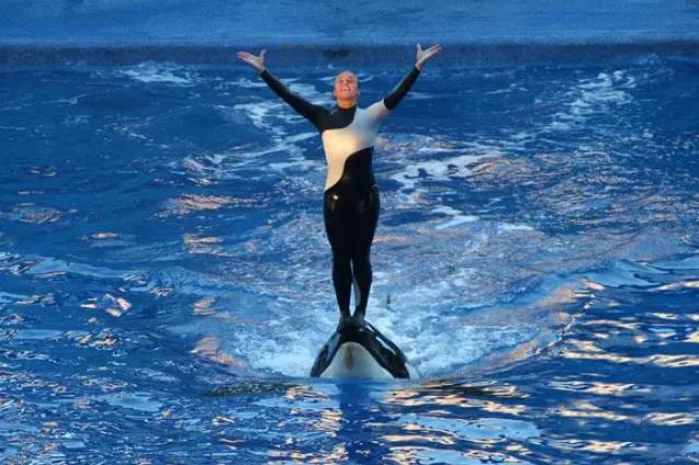 它的死，是给人类一记响亮的耳光