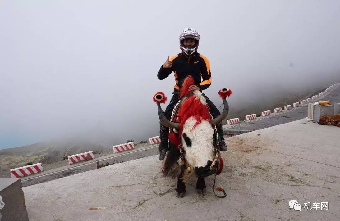 骑行西藏遇女孩,骑行318川藏线糊涂蛋