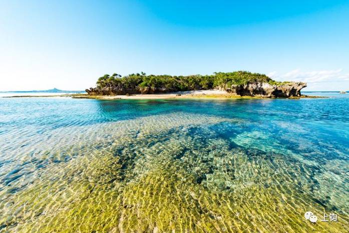 冲绳岛海钓,海钓福利