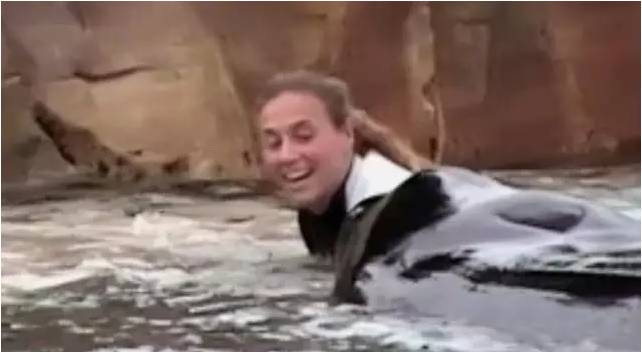 它的死，是给人类一记响亮的耳光