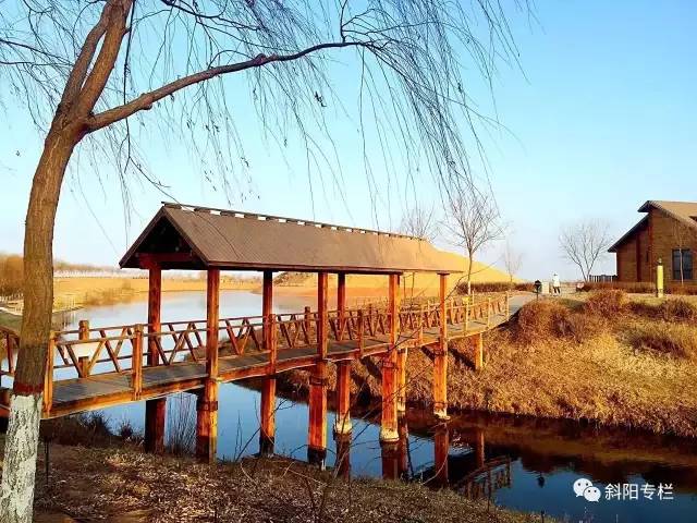 金沙岛怎么样,金沙洲热门话题