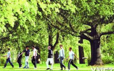 年度影响力作品全部,年度影响力人物颁奖素材