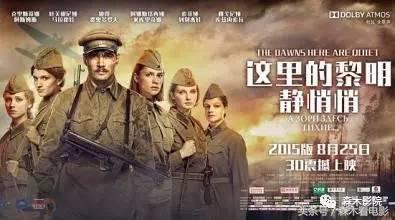 20部不同视角的珍贵二战电影 (20部必看二战经典电影)