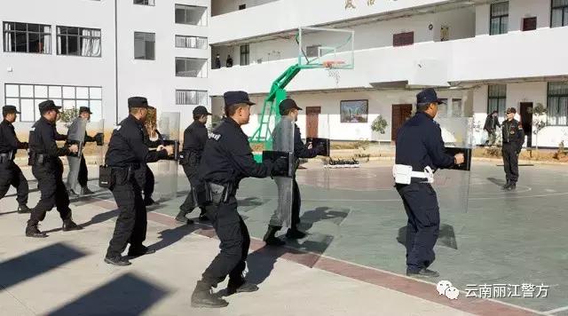 特警的一天生活,特警的一天完整版