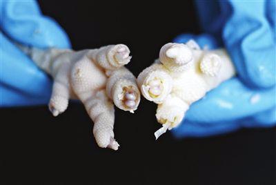 食品添加剂你了解多少？原图对比教你如何辨别有害食品！