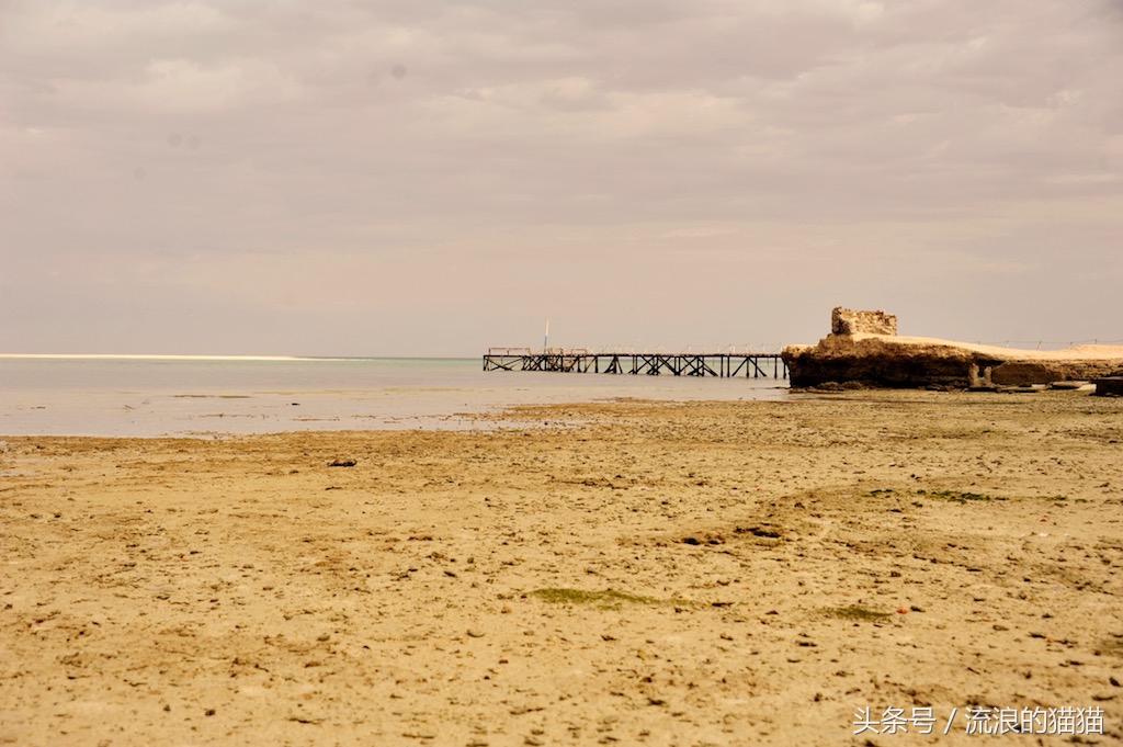 毛里塔尼亚，这个以肥为美的神奇国度究竟是什么样的？
