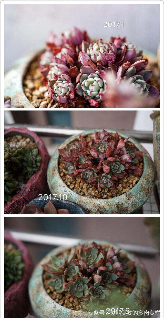 最爱对比图！对比后更惊艳！