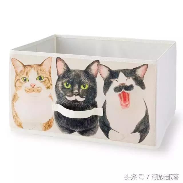 猫控保健,猫控送什么礼物