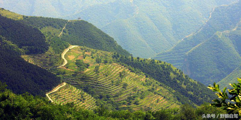 北京郊区房山蒲洼自驾游,房山野鹅旅游攻略