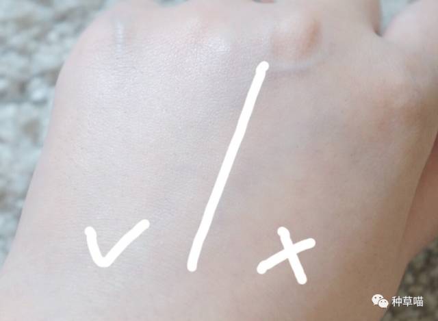 五款好用的bb气垫,五款大牌气垫