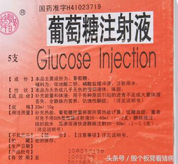 怎样识别猪病并且合理用药,猪病用药小技巧