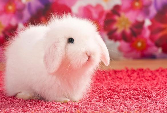 日语口语每日一练,日语每天一句口语练习