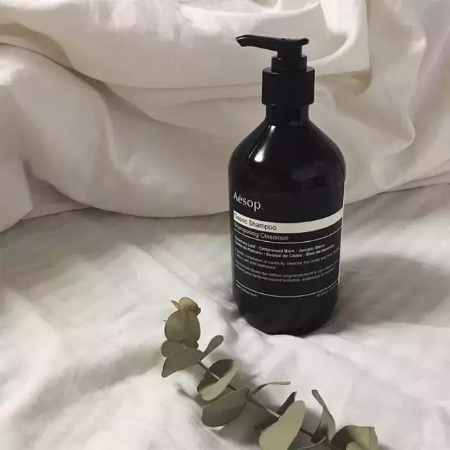 文艺青年爱看的书籍有哪些,文艺青年最爱的咖啡店