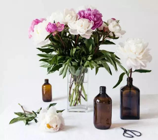 文艺青年爱看的书籍有哪些,文艺青年最爱的咖啡店