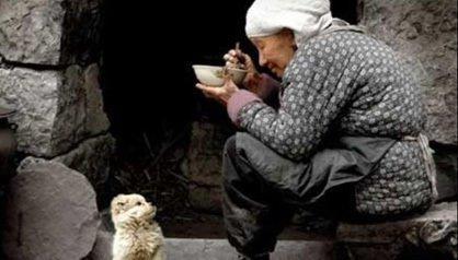 这个村子全村儿子都不赡养老人，十年后怪事发生了！