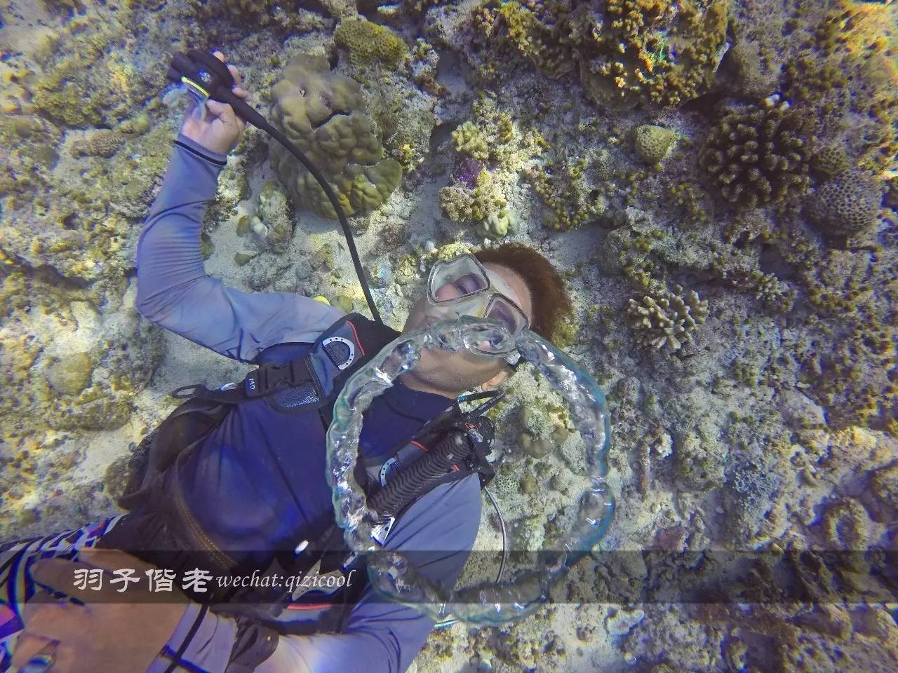 印尼美娜多旅游潜水攻略,印尼美娜多潜水圣地