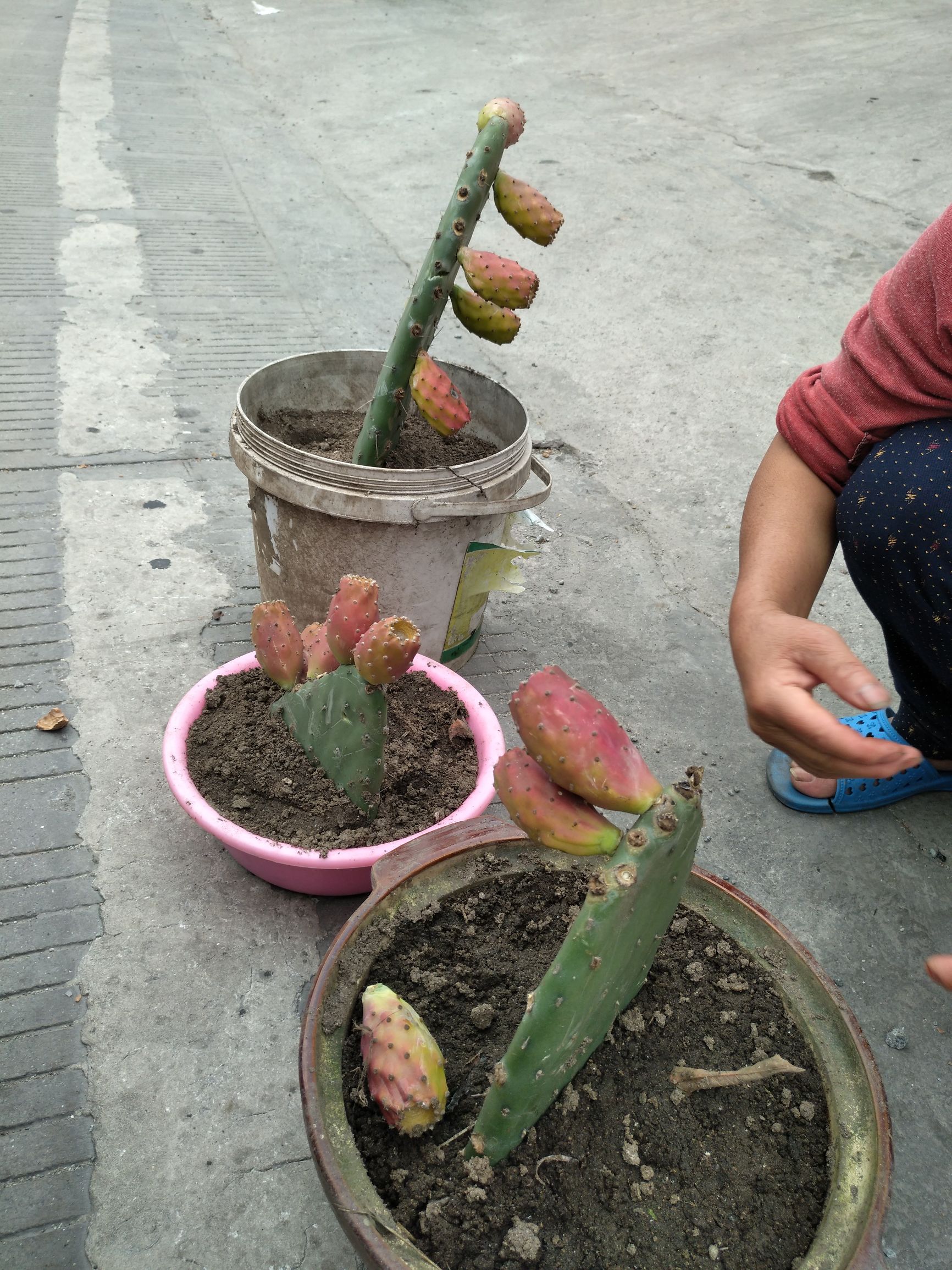 宁夏到陕西的沿途旅游,从宁夏自驾游到重庆多长时间