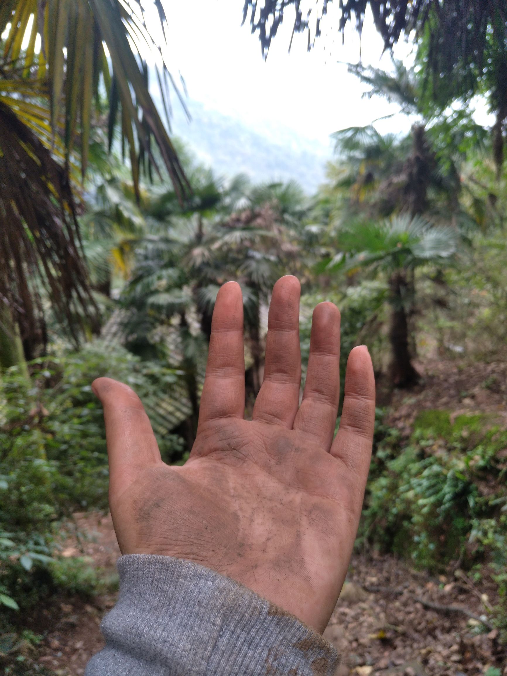 宁夏到陕西的沿途旅游,从宁夏自驾游到重庆多长时间
