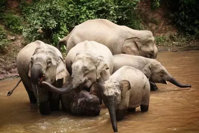 干货分享必读,干货探索与分享