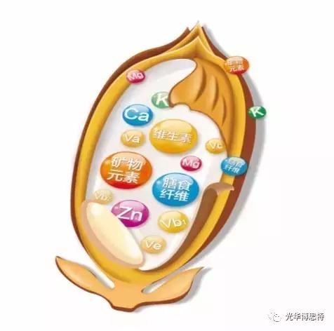 从杂粮面到全谷物粉，看禾富多的品牌价值逆袭之路