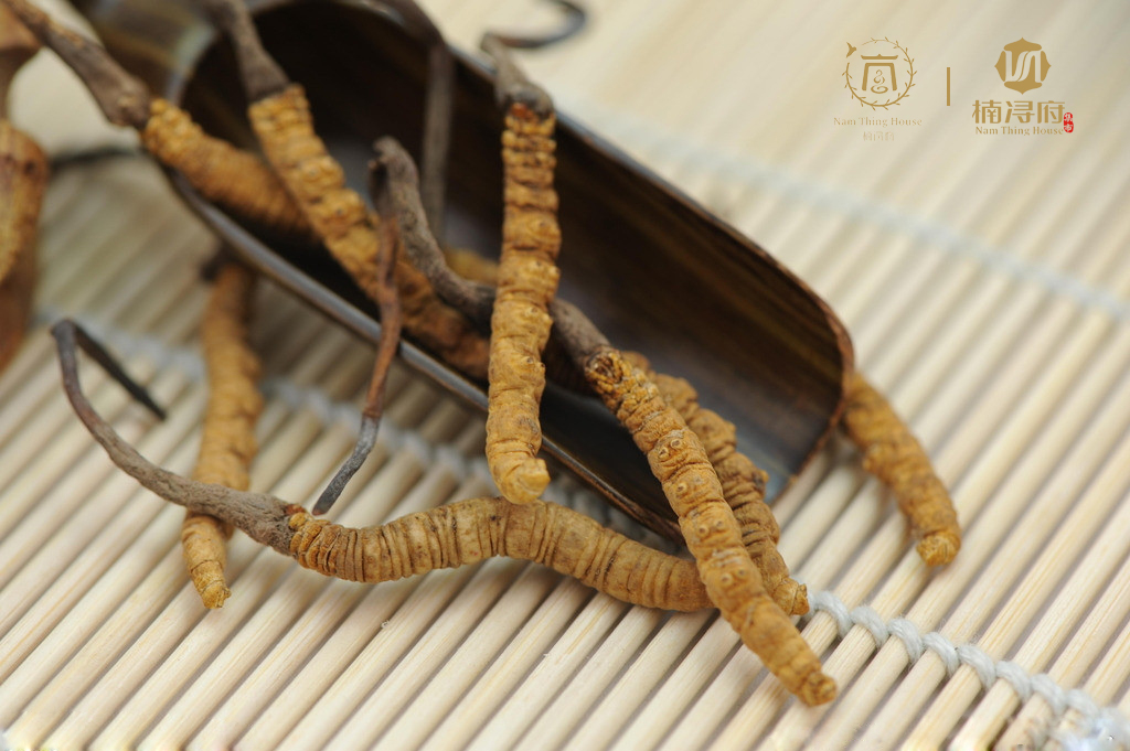 古籍记载的奇异东西,中国那些神奇的古籍