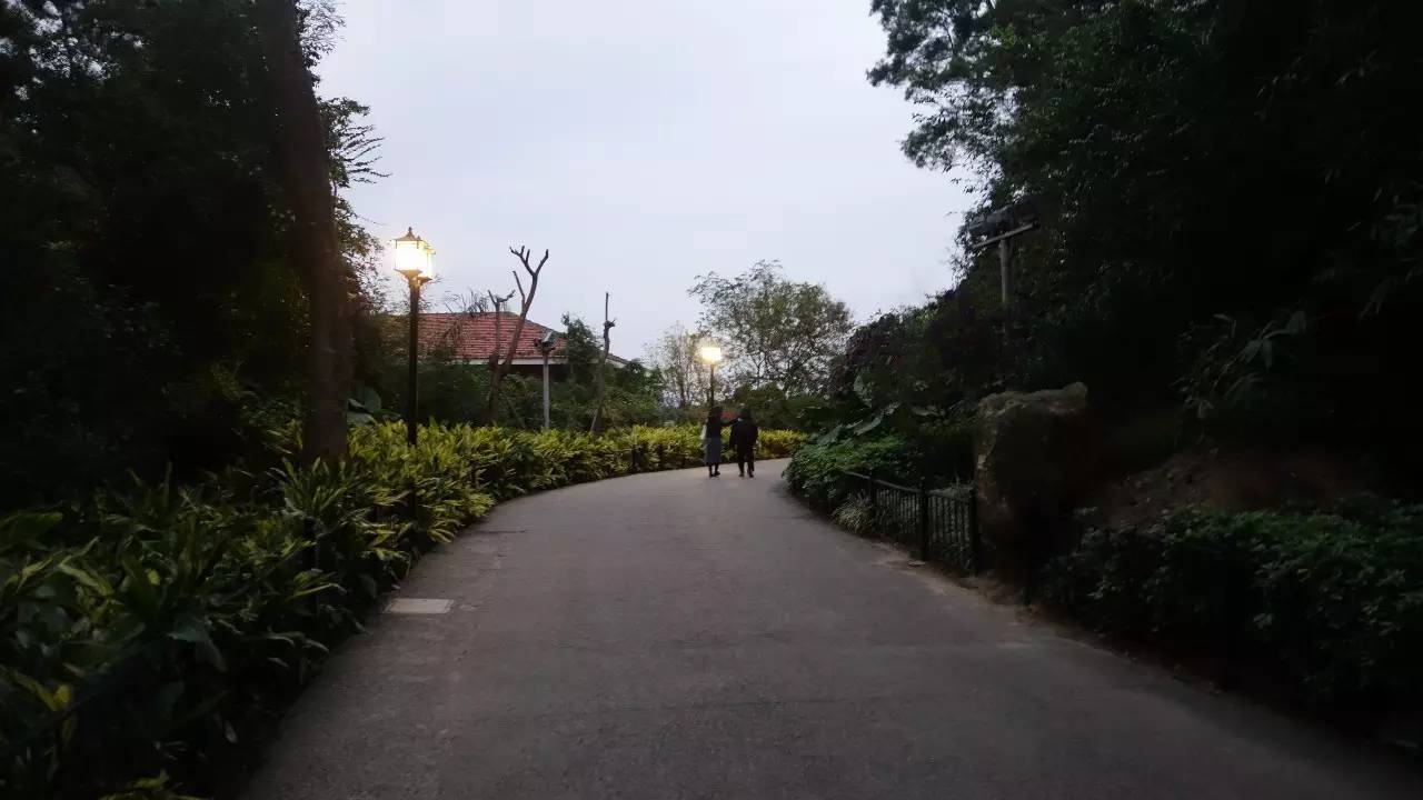 鼓浪屿真的值得去吗,鼓浪屿还敢去玩吗