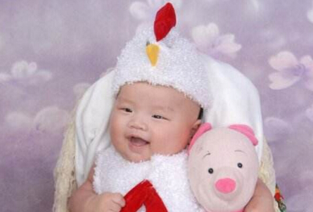 生肖鸡出生哪个月份最容易成功,2017年鸡宝宝4月的鸡是什么命