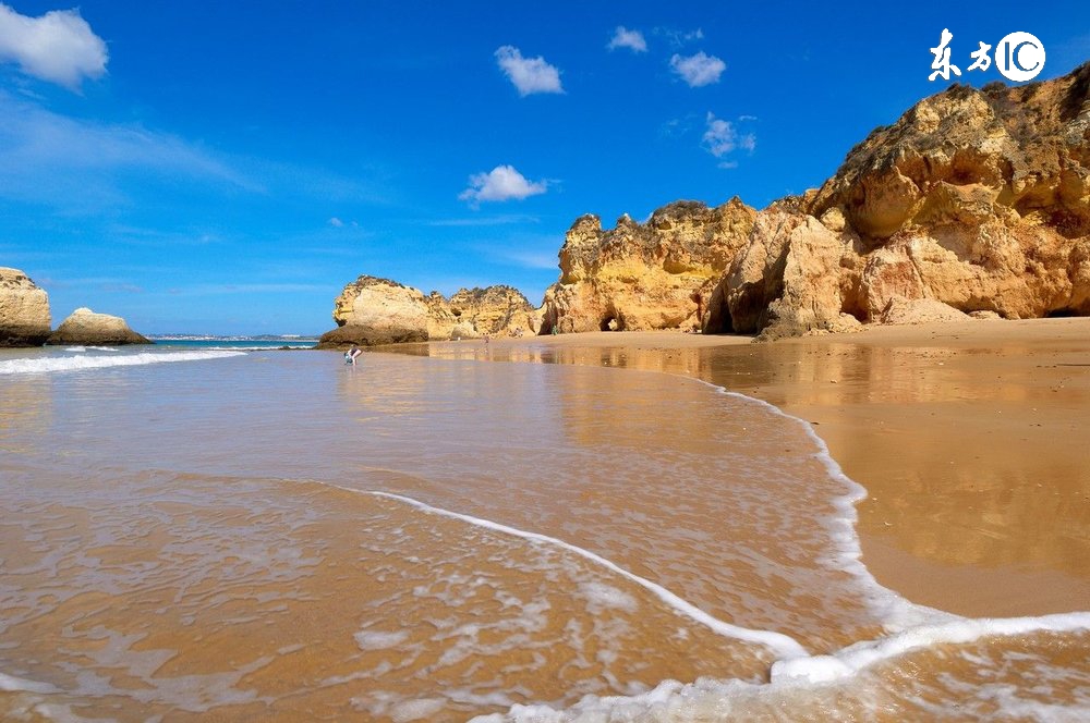 丫的！你智障为什么要我买单？！