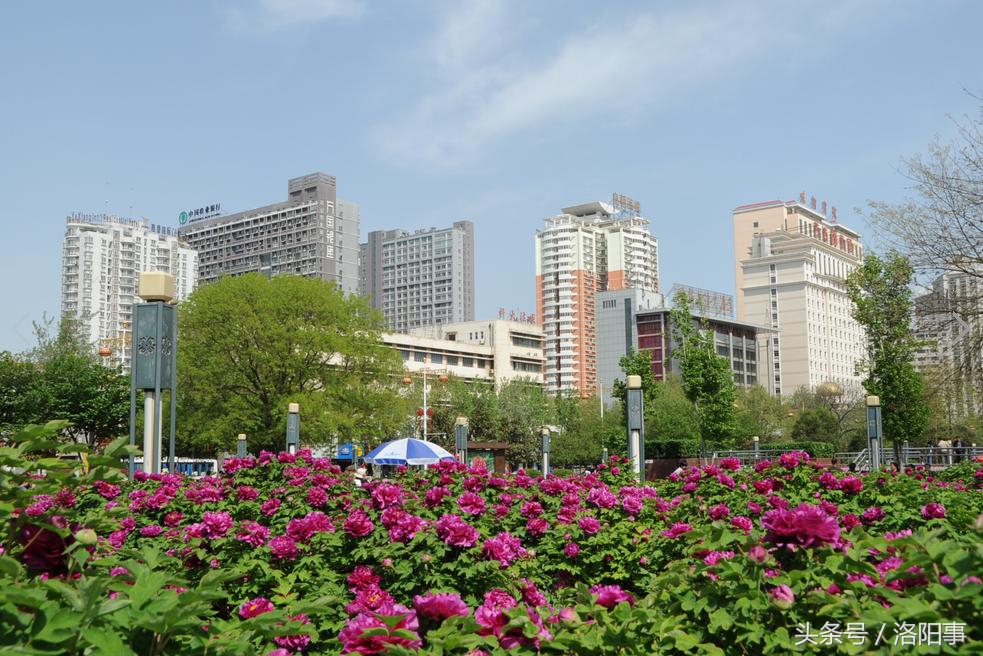 想买房看过来,洛阳各区楼盘最新价格表