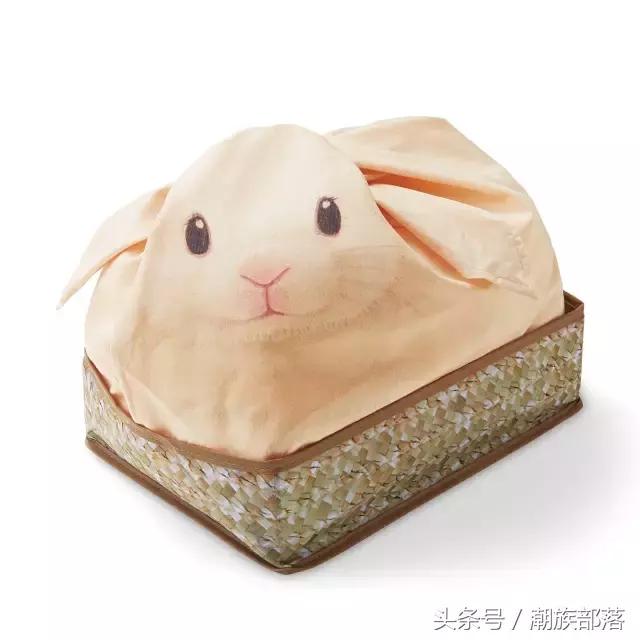 猫控保健,猫控送什么礼物