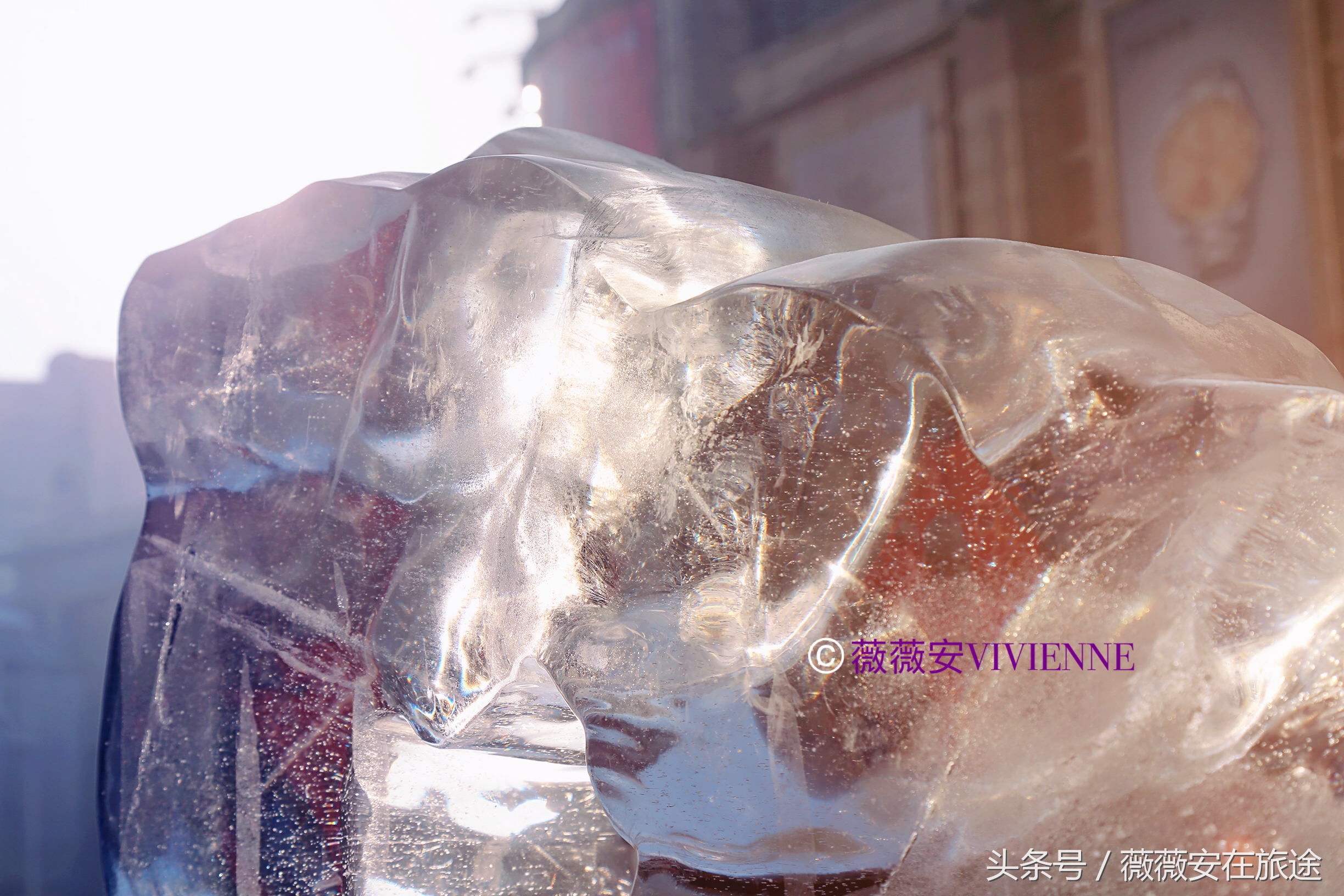 北国冰城之旅,奔赴冰城哈尔滨感受北国浪漫