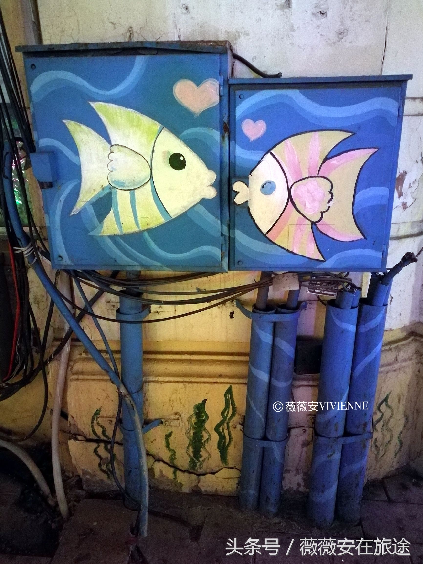 北国冰城之旅,奔赴冰城哈尔滨感受北国浪漫