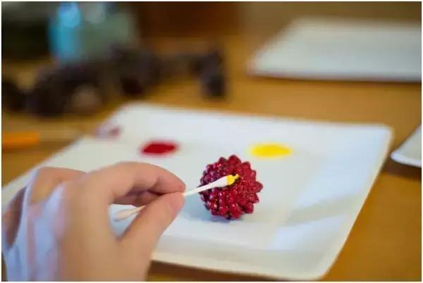 原来松果还可以这么美,原来红杉树也可以很美