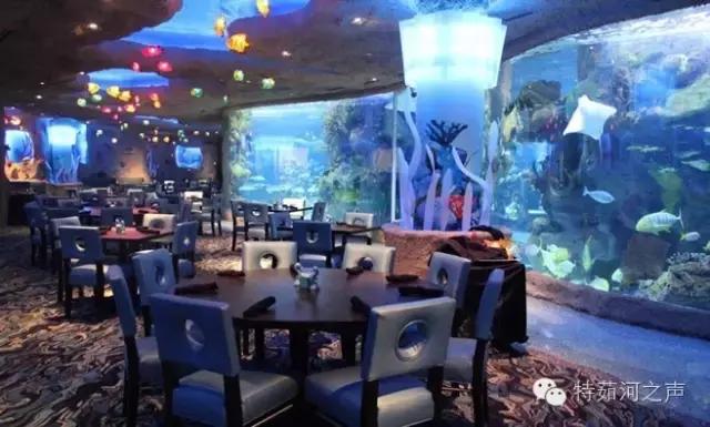 全球最漂亮的海上餐厅,全球十大最美海边餐厅