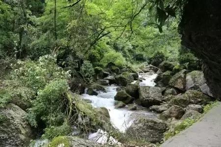 世界双遗峨眉山,双遗马拉松青城山免票吗