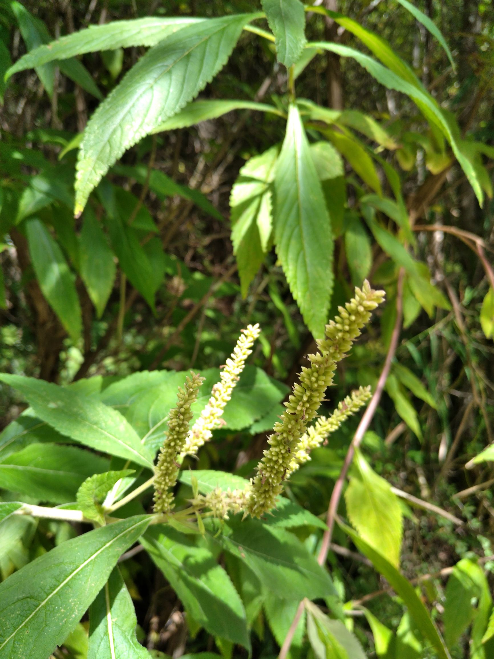 宁夏到陕西的沿途旅游,从宁夏自驾游到重庆多长时间