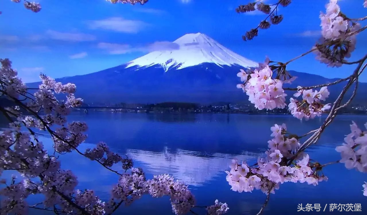 多棱镜之东京箱根富士山--爸妈及女儿眼中不同的日本本州