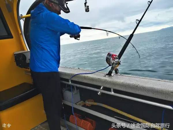 新西兰旅游游记,4月新西兰游记