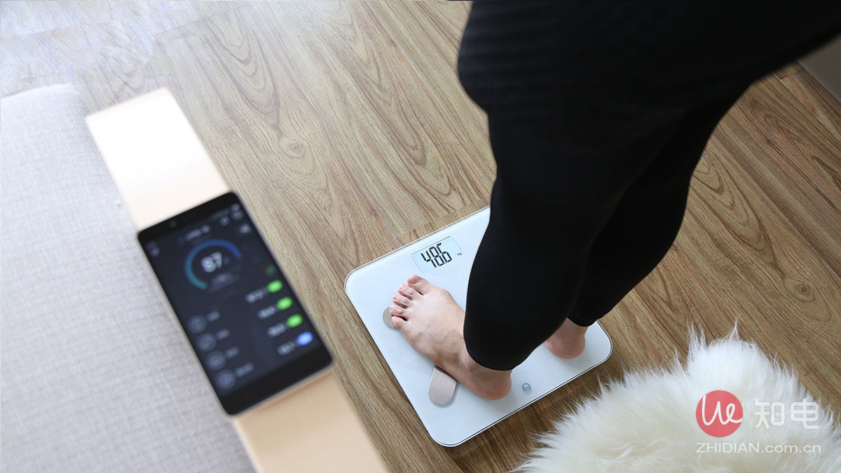 香山体脂秤推荐,香山体脂秤哪款好