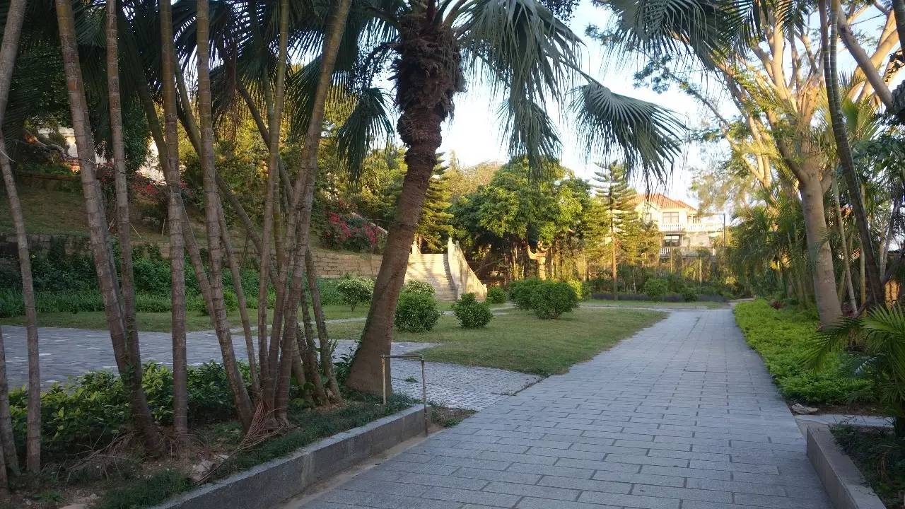 鼓浪屿真的值得去吗,鼓浪屿还敢去玩吗