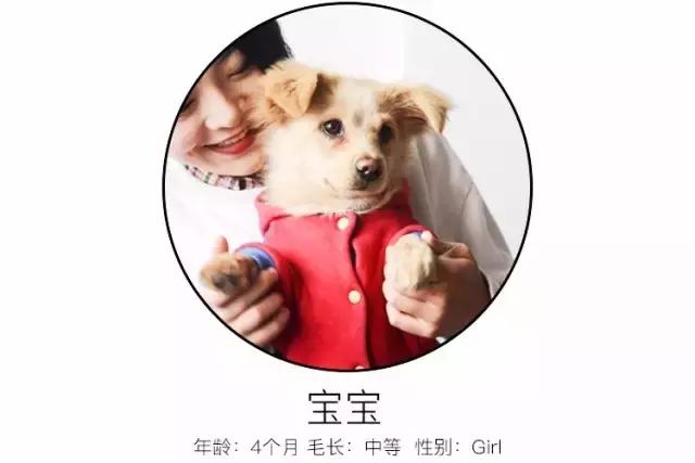 免洗泡沫推荐,免洗泡沫