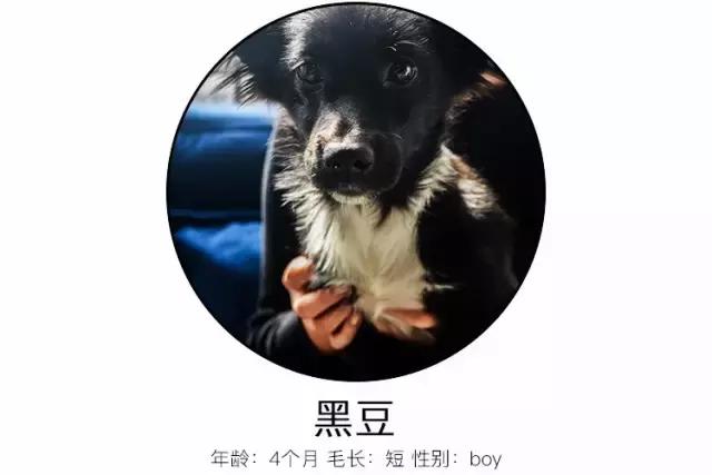 免洗泡沫推荐,免洗泡沫