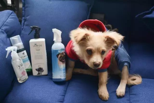 免洗泡沫推荐,免洗泡沫