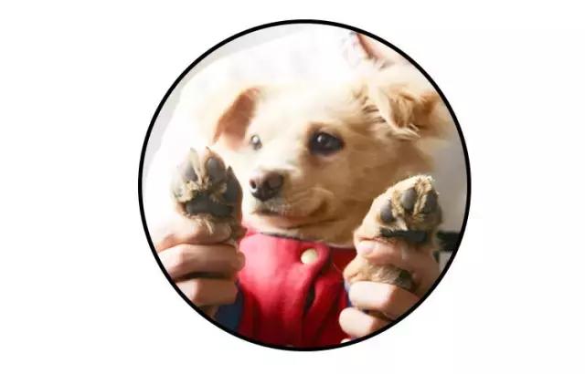 免洗泡沫推荐,免洗泡沫