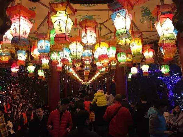 自贡第30届灯会,自贡今年灯会65岁是否免票观灯