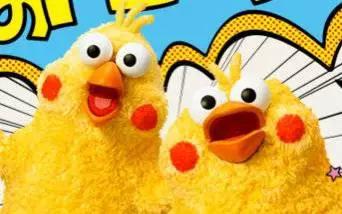 这两只在日本爆火的贱鹦鹉，一定能成为表情包界最火的新网红！